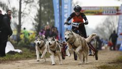 Bobor�s es un referente en el calendario nacional del mushing