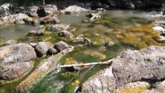 Imagen del vertido en el Sella, extra�da del v�deo compartido por Kike Soto