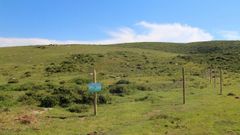 Zona de turberas recuperada en la Serra do Xistral dentro del programa Life in common land