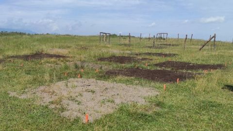 En algunos terrenos que durante muchas d�cadas fueron escombreras ya se ven los efectos y el suelo est� recuperado