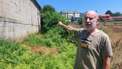 Lino Snchez muestra el muro de donde salieron las avispas asiticas. 