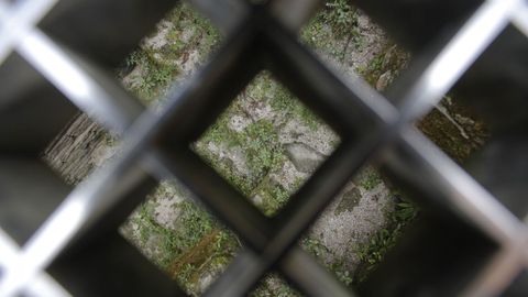 En las escaleras interiores, tapadas, tambi�n est� creciendo la hierba
