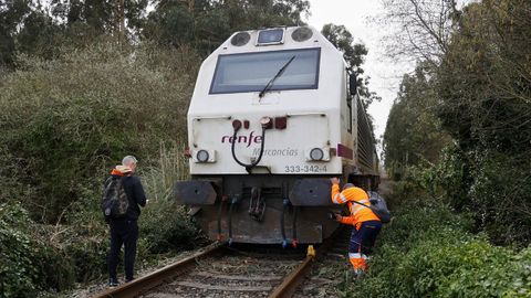 Un tren, bloqueado en Cambre tras arrollar un eucalipto