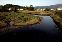 La zona de las marismas tiene un gran valor ecol�gico.