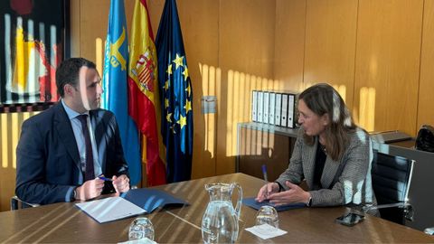 Mara Calvo, presidenta de FADE, sobre la reunin mantenida con Guillermo Pelez, consejero de Hacienda del Principado de Asturias