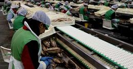 El derrumbe de barreras arancelarias para Tailandia supone una amenaza para la conserva gallega.