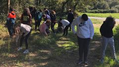 Los estudiantes del instituto recogieron bellotas de roble para crear el vivero