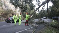 Los efectos de Karlotta en Galicia