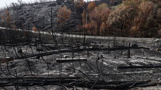Los colegios quieren transformar la imagen de devastación que impacta en los alumnos en proyectos positivos de concienciación