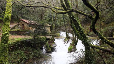 Ruta da Pedra e da Auga a su paso por Meis.