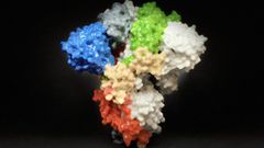Recreaci�n del coronavirus en 3D realizada por National Institutes of Health, una entidad federal estadounidense