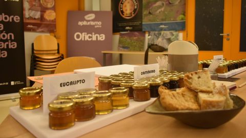 Algunas de las actividades organizadas en anteriores ediciones de esta muestra