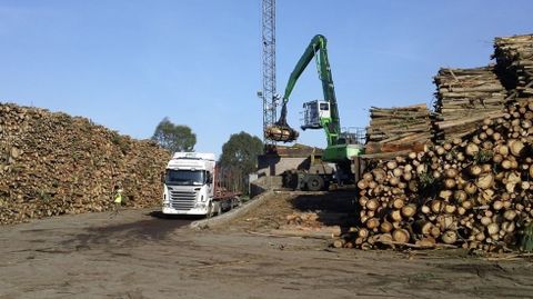 Producci�n maderera de Ence