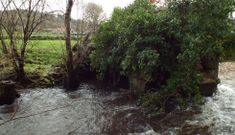 De la construcci�n medieval solo se conserva ya un arco y su grado de deterioro avanza.