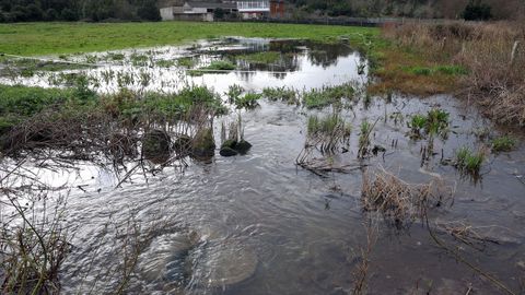 La crecida del r�o Arl�s, en Ribeira, aneg� terrenos en sus inmediaciones.