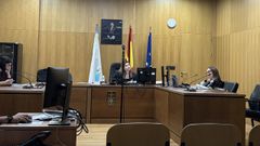 La&nbsp;acusada compareci&oacute; por videoconferencia al juicio en Ourense.
