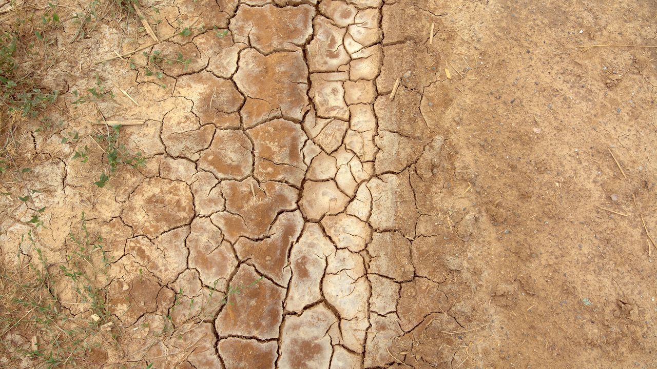 La desertificación en España ya alcanza el 40 % del territorio