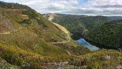 Una vista del paisaje del ca��n del Sil en la parroquia de Doade, en Sober