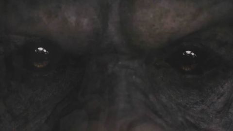 Nuestro antecesor, hace 4 millones de años, el australopiteco