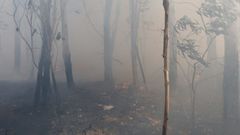 Imagen del incendio en Corme Aldea