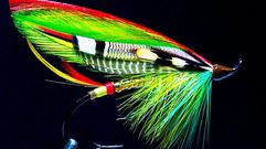 La proporci�n �urea de una mosa (de salm�n)