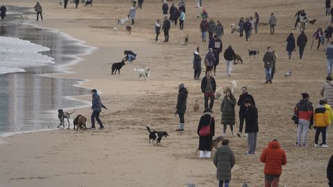 Paseantes y perros en la playa de San Lorenzo, en Gij�n