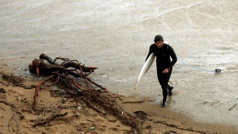 Un surfista esquiva las races de un rbol y la basura de la playa de la Barceloneta.