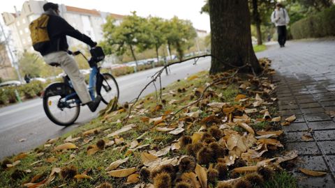 Tramo del carril bici en la avenida Salvador de Madariaga
