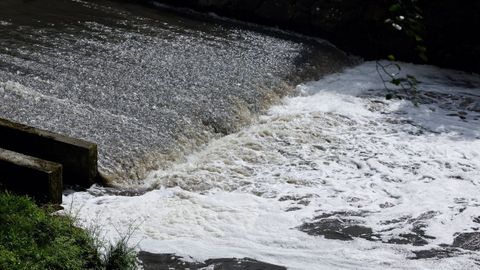 La directiva europea busca proteger las masas de agua frente a la contaminaci�n de origen agrario