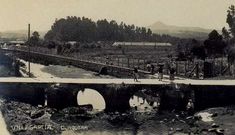 <span lang= es-es >De la junquera a la urbanizaci�n</span>. Los Llovo se criaron en la casa de la fotograf�a que ense�a Sergio, y que estaba donde ahora se levantan los edificios que se ven al fondo de la imagen.