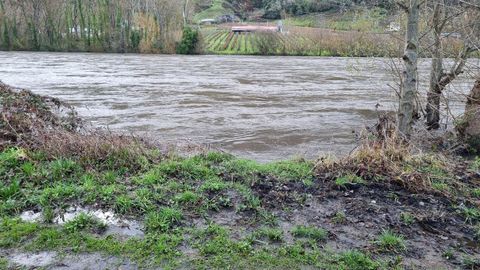 En A R�a el Sil tambi�n aneg� el paseo entre O Aguill�n y A Reza