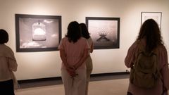 La exposici&oacute;n se podr&aacute; ver hasta comienzos del pr&oacute;ximo a&ntilde;o