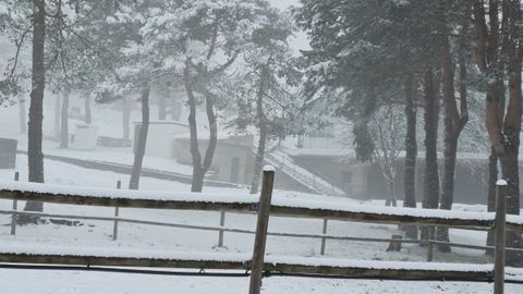 Mañana de nieve en Manzaneda
