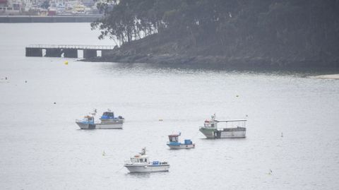 Embarcaciones este lunes en la r�a de Pontevedra