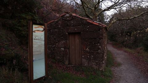 REPORTAJE SOBRE LA SENDA PEATONAL DEL RÍO TAMBRE