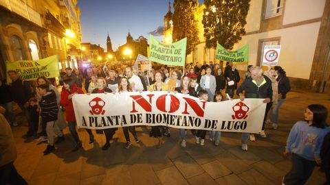 Manifestacin en Lugo contra la planta de Coeses