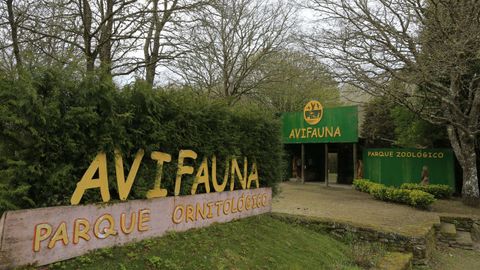 Avifauna est en Bravos, en Outeiro de Rei.