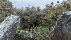 Necr�polis megal�ticas en el monte de Santa Mari�a (Samos)