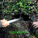 <span lang= es-es >Grietas en Rande</span>. Una denuncia vecinal desvel� las grietas en la estructura del puente. Por la gran arteria circulan una media diaria de 22.359 coches.