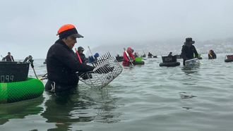 Inicio de la actividad marisquera en la playa de Anido, en Muros