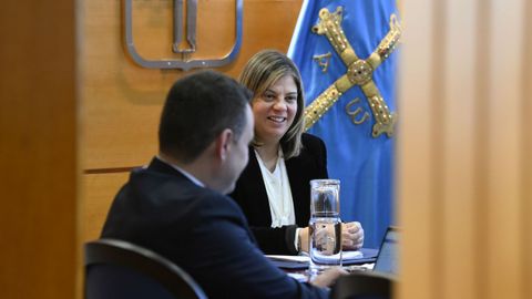 La Vicepresidenta y Consejera de Presidencia, Reto Demogr�fico, Igualdad y Turismo, Gimena Llamedo, preside el Consejo de Gobierno