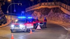Un control de carretera de la Polic�a Foral de Navarra