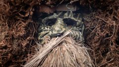 La Mascarada Ib�rica de Viana do Bolo y Vilari�o de Conso, en im�genes
