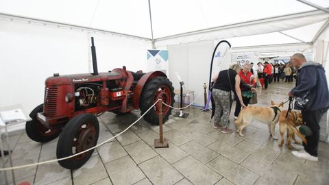 Feria de ganado ExpoLugo, junto a O Vello Cárcere
