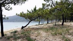 Dunas de Barra, Cangas