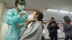 Imagen de un cribado con pruebas PCR 