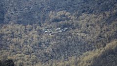 Un souto quemado en torno a la aldea de Vilar. En las masas de �rboles frondos, seg�n los expertos, se han producido mayores p�rdidas de fauna de peque�o tama�o que los pinares
