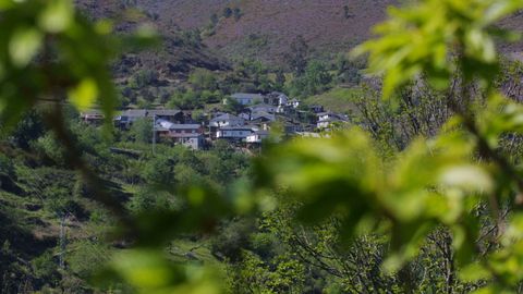 Vista de la aldea de Figueiredo, donde crecen olivos de variedades autctonas 