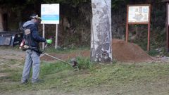 Un operario municipal realizando labores
