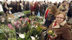 A Feira da Plantaci�n, que este ano �a cumprir 25, t�vose que suspender por mor do coronavirus